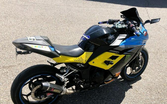 2014 Kawasaki Ninja 300 SE