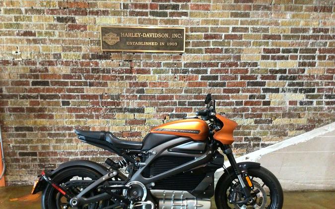 2020 Harley-Davidson LiveWire First Ride