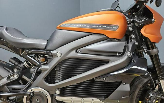 2020 Harley-Davidson® ELW - LiveWire™