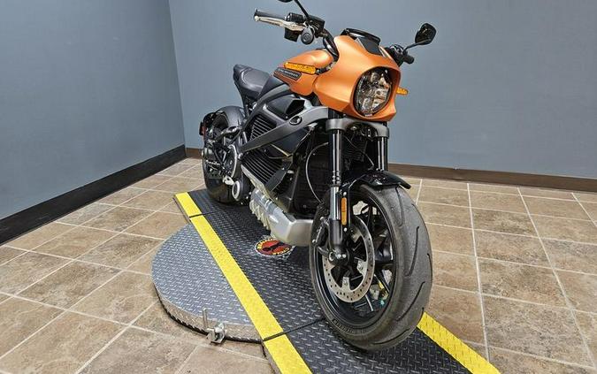 2020 Harley-Davidson® ELW - LiveWire™