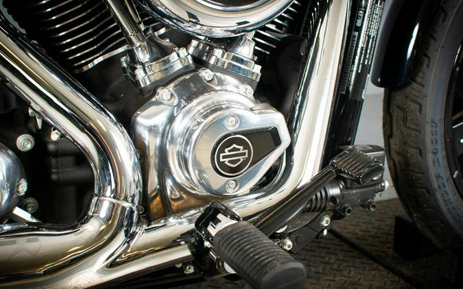 2025 Harley-Davidson Street Bob