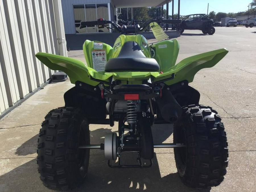 2026 Yamaha Raptor 110