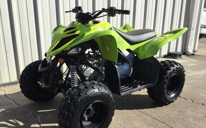 2026 Yamaha Raptor 110