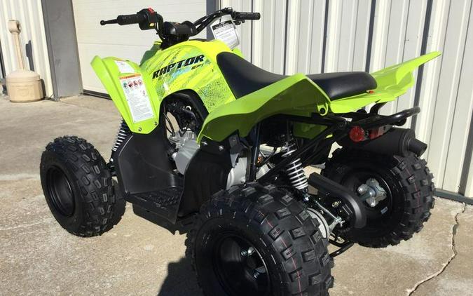 2026 Yamaha Raptor 110