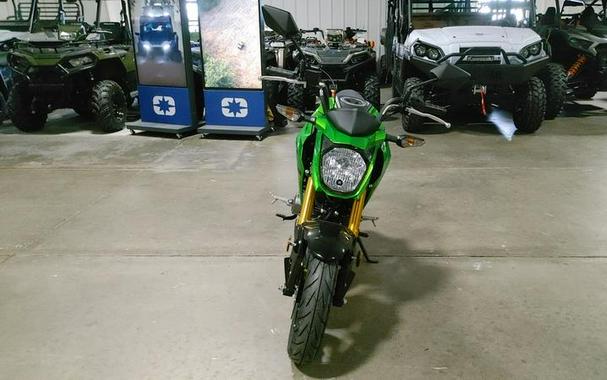 2024 Kawasaki Z125 PRO