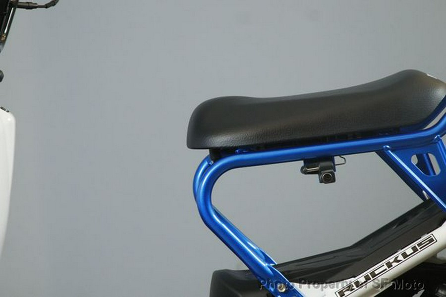 2022 Honda Ruckus