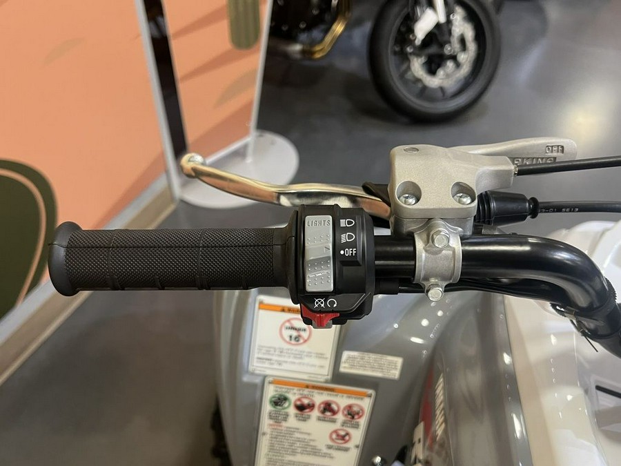 2026 Yamaha Raptor 700