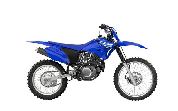 2025 Yamaha TTR 230