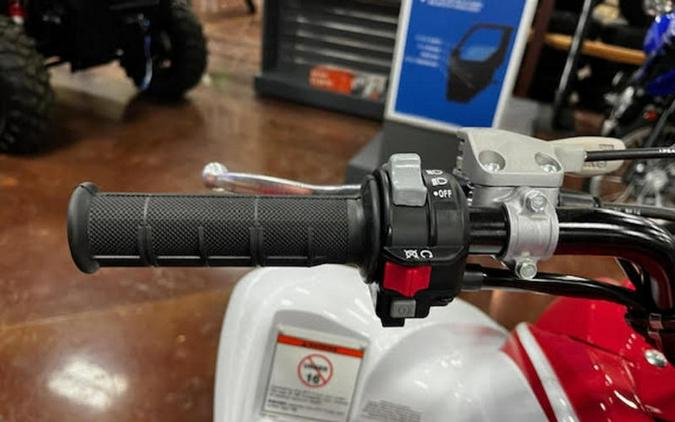 2026 Yamaha Raptor 700R SE