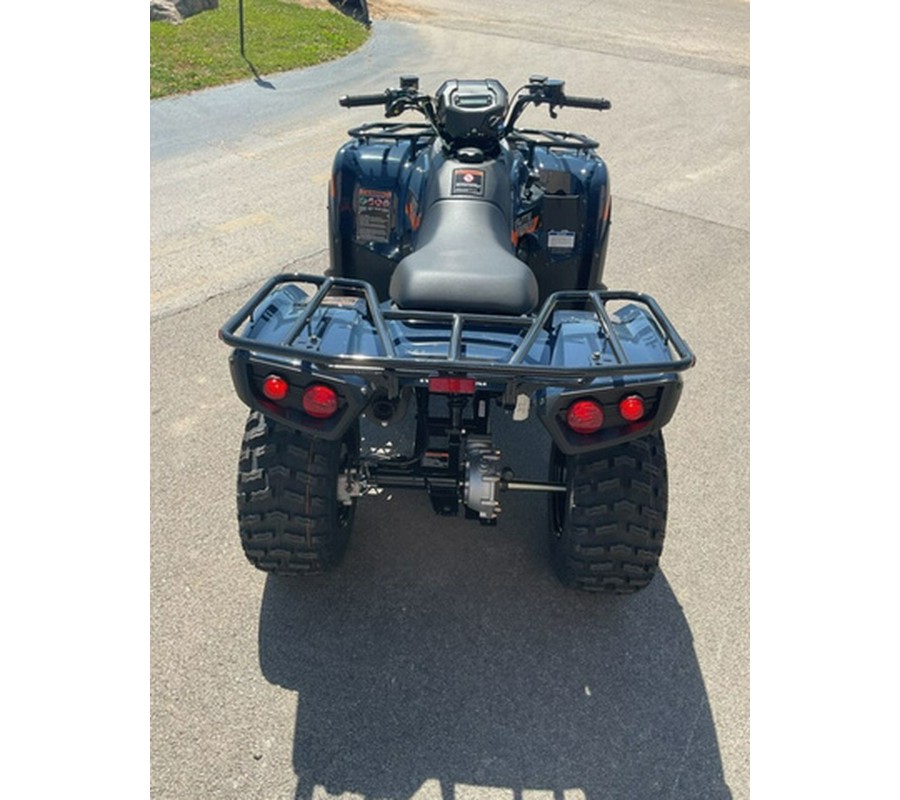 2026 Kawasaki Brute Force 300