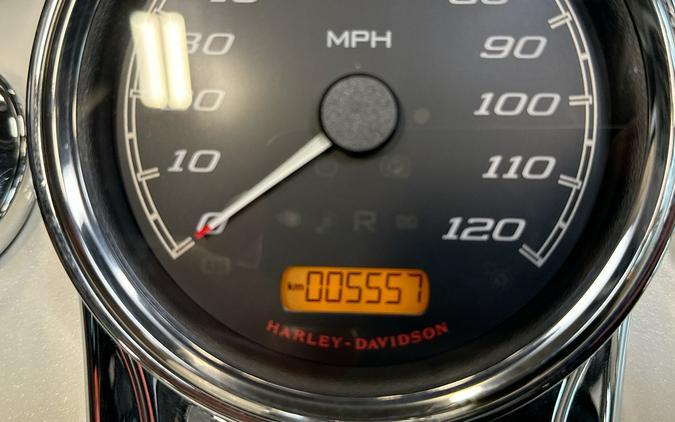 2019 Harley-Davidson FREEWHEELER