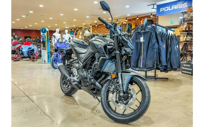 2024 Yamaha MT 03