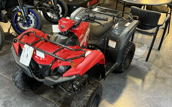 2025 Yamaha Grizzly 110