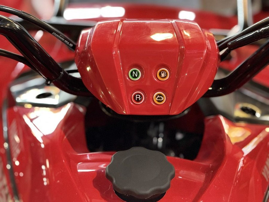 2025 Yamaha Grizzly 110