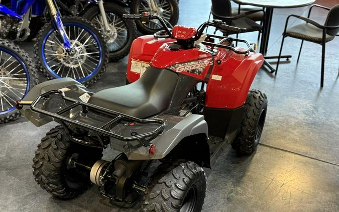 2025 Yamaha Grizzly 110