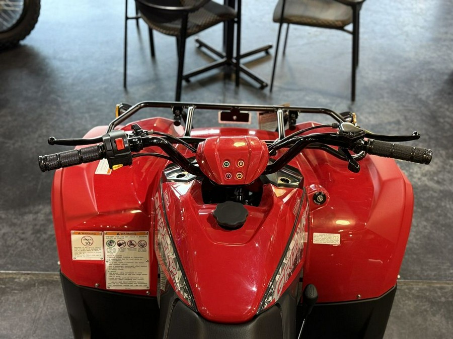 2025 Yamaha Grizzly 110