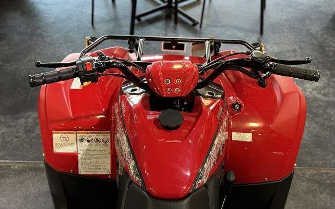 2025 Yamaha Grizzly 110