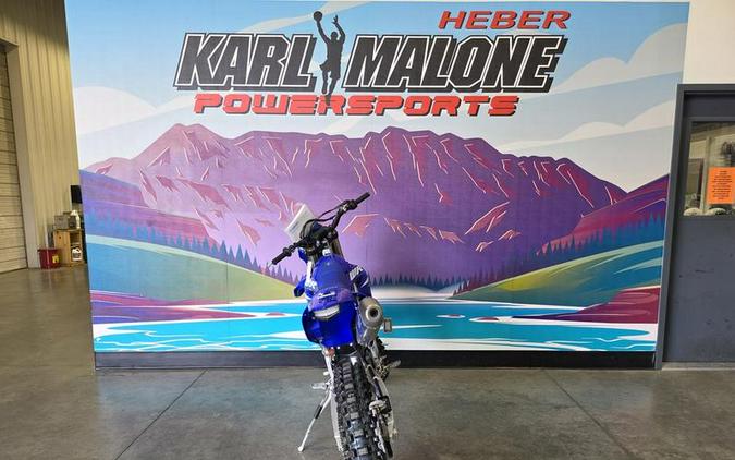 2025 Yamaha WR450F