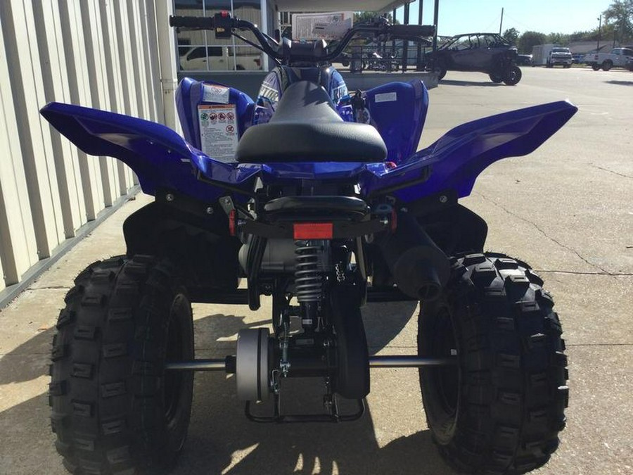 2026 Yamaha Raptor 110