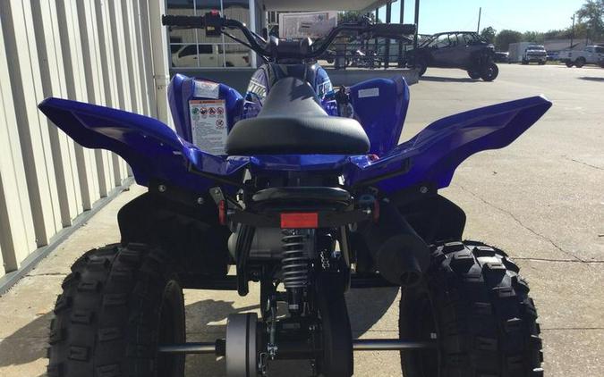 2026 Yamaha Raptor 110