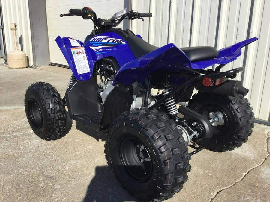 2026 Yamaha Raptor 110