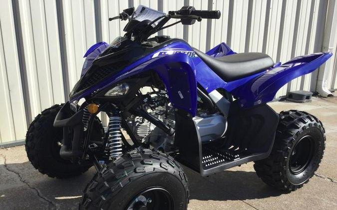 2026 Yamaha Raptor 110