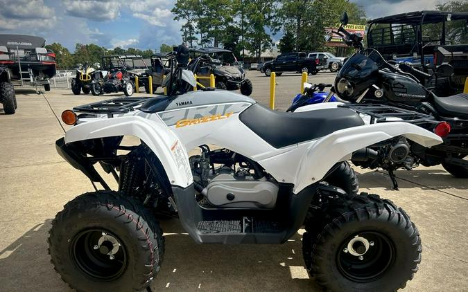 2024 Yamaha Grizzly 90