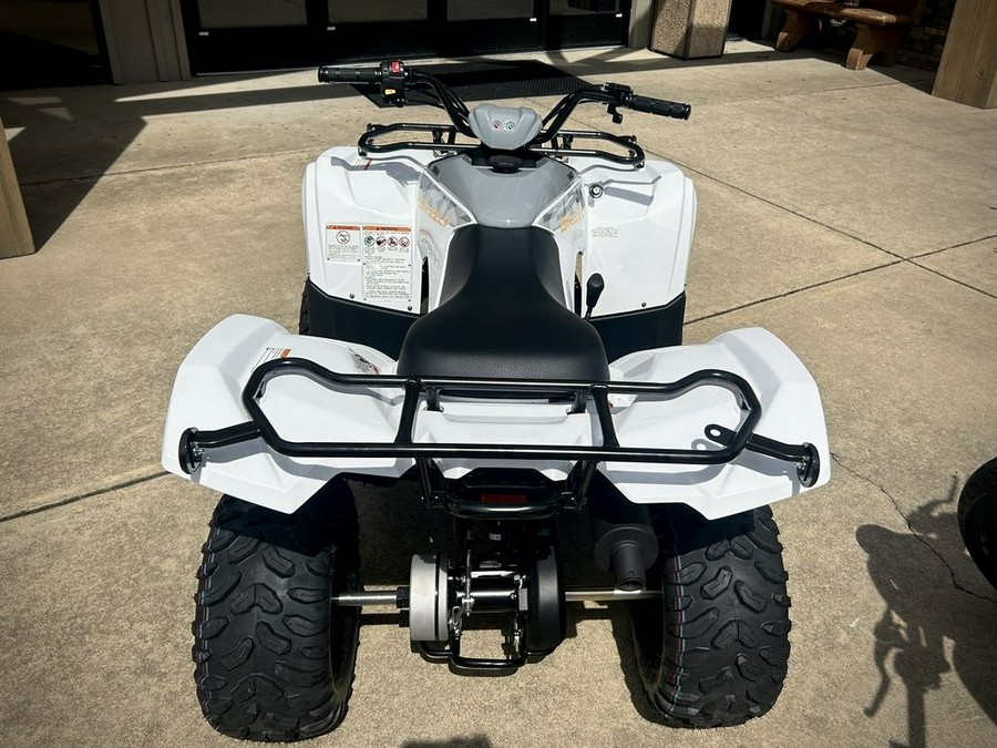 2024 Yamaha Grizzly 90