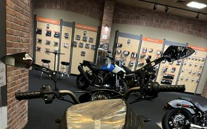 2020 Indian Motorcycle® FTR Rally Titanium Smoke