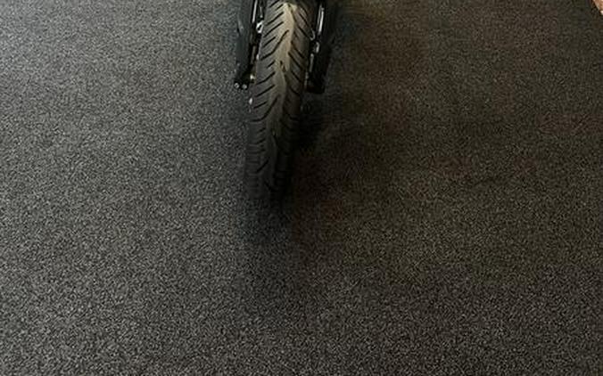 2020 Indian Motorcycle® FTR Rally Titanium Smoke