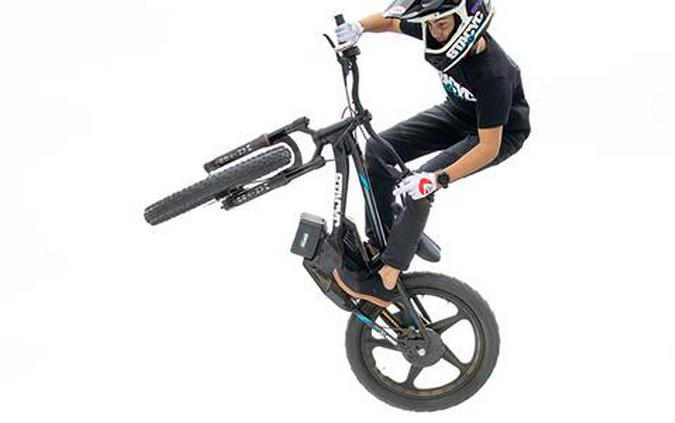 2024 Stacyc 20eDRIVE