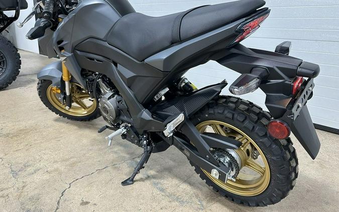 2024 Kawasaki Z125 PRO