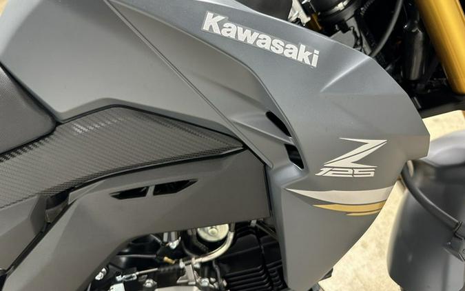 2024 Kawasaki Z125 PRO