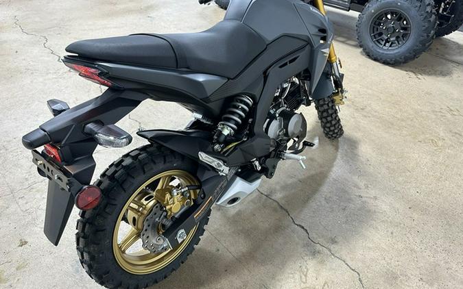 2024 Kawasaki Z125 PRO