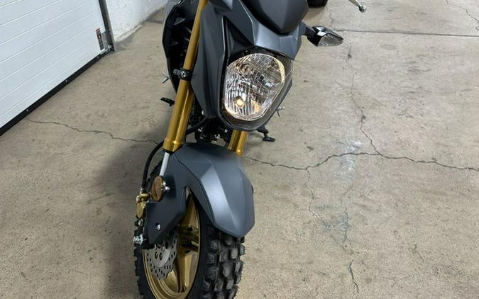 2024 Kawasaki Z125 PRO
