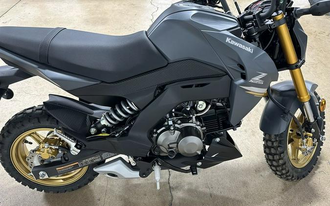 2024 Kawasaki Z125 PRO