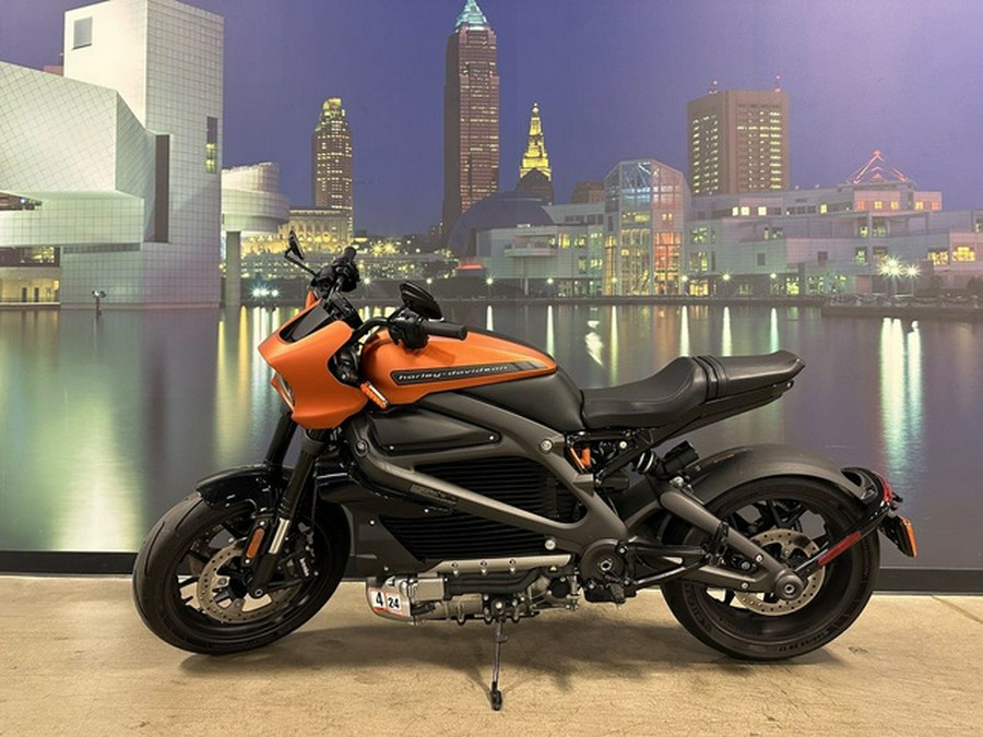 2020 Harley-Davidson LiveWire ELW