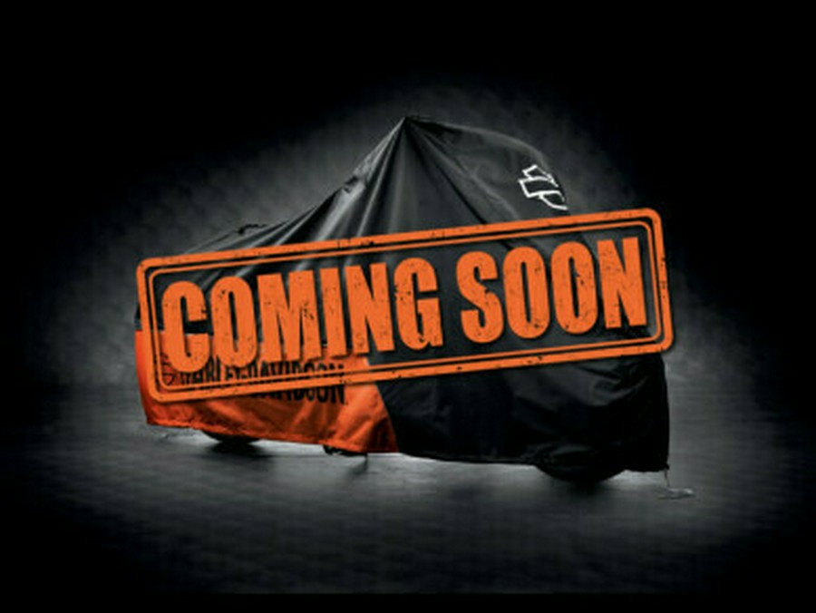 2024 Harley-Davidson Softail Standard Billiard Gray