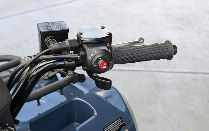 2025 Kawasaki Brute Force® 450 4x4