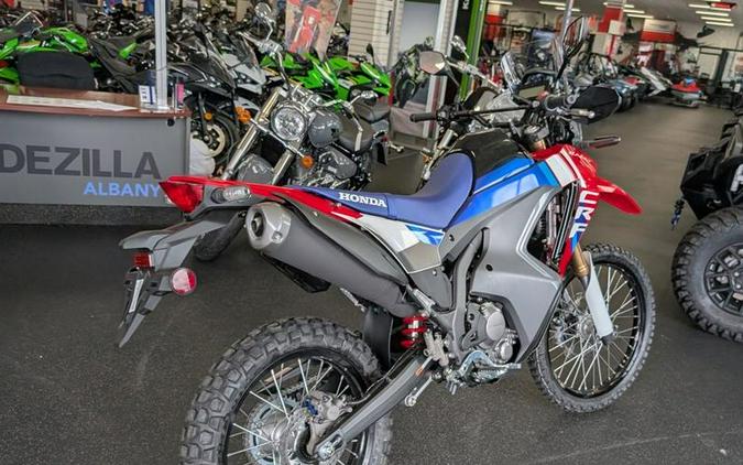 2025 Honda® CRF300L Rally ABS