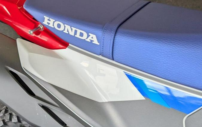 2025 Honda® CRF300L Rally ABS