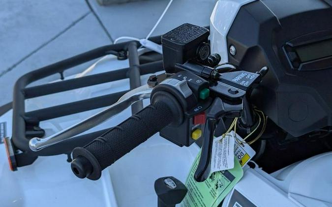 2025 Kawasaki Brute Force® 450 4x4