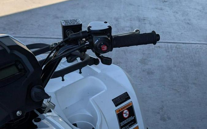 2025 Kawasaki Brute Force® 450 4x4