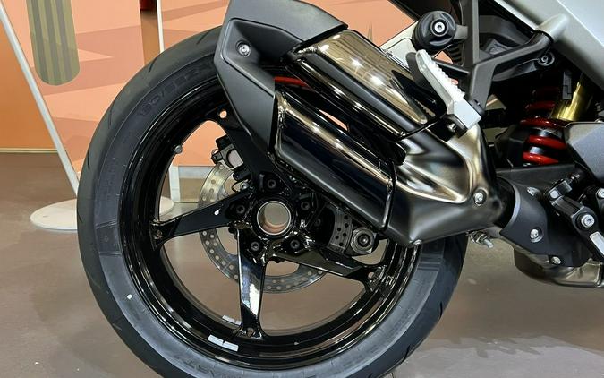 2026 BMW R 1300 R Performance