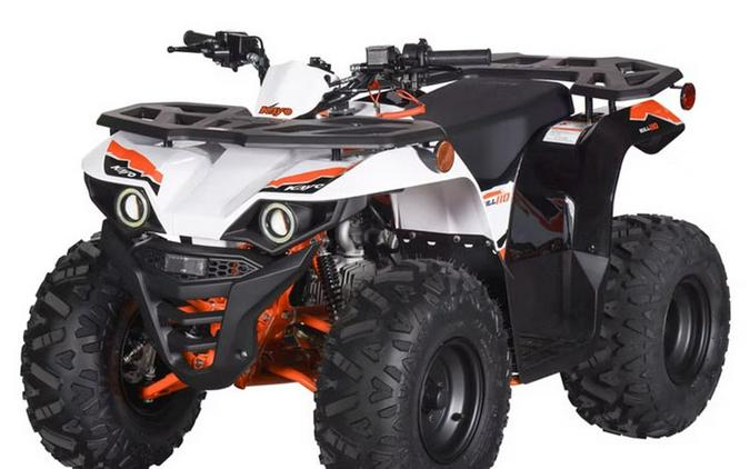 2026 Kayo Bull 110