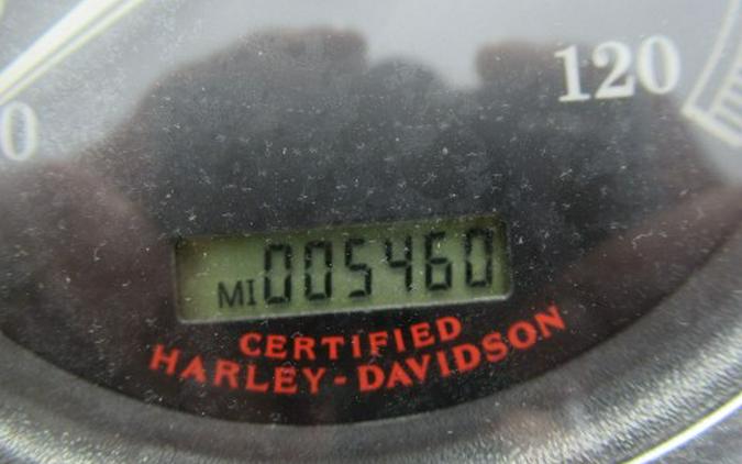 2006 Harley-Davidson Softail® Standard