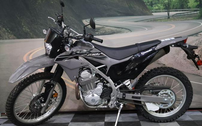 2023 Kawasaki KLX®230 S