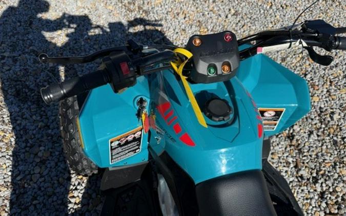 2026 Can-Am Renegade 110 EFI