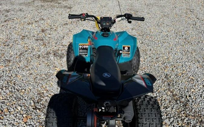 2026 Can-Am Renegade 110 EFI