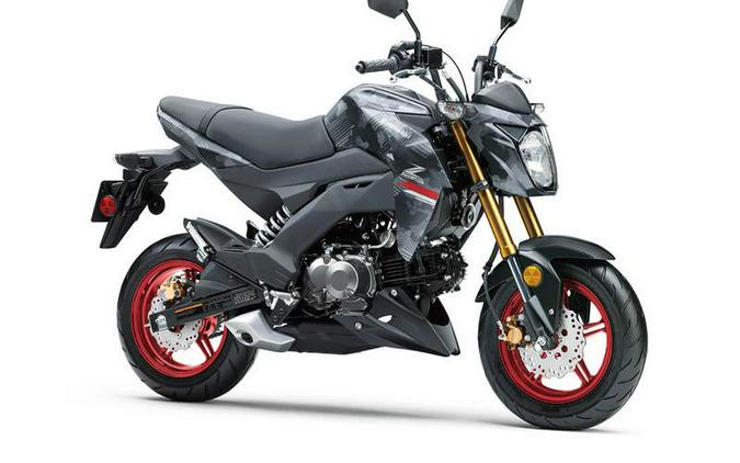 2024 Kawasaki Z125 PRO Cypher Camo Gray Matte/Metallic Matte Carbon Gray